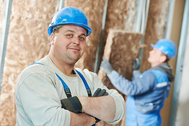 Best Geographic-Specific Insulation Services in Apple Valley, OH